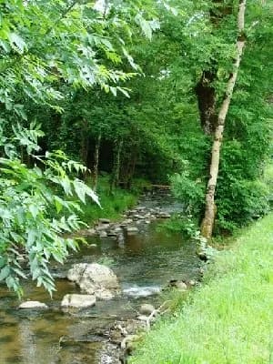 Les Chalets de la Gazonne Rivière