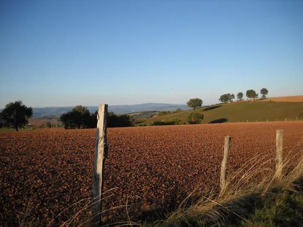 Aire de pique-nique de Monteils