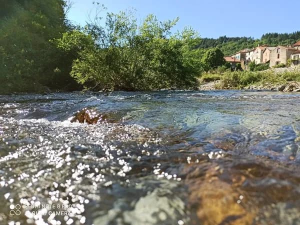 Rivière à proximité