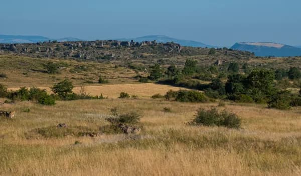La Brasserie du Larzac