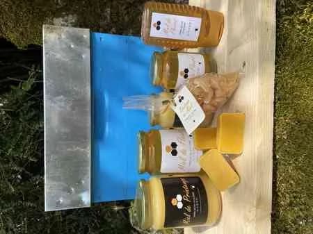 Emmanuel Gilhodes Apiculture
