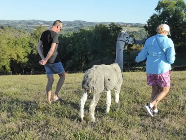 DuPrem Alpaga - Visite de la ferme et boutique