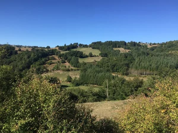 Loulapi
