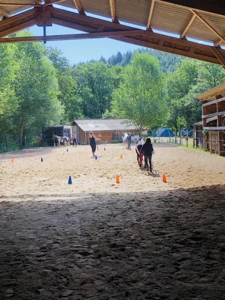 Ecole d'équitation - Ecurie Qualina
