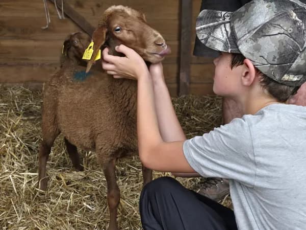 Ferme pédagogique l'Arche du Rougier