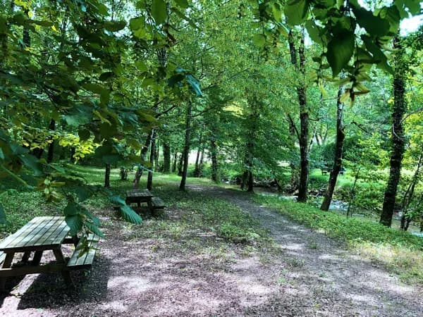 Disc-golf et footgolf au fil du Lézert à l'aire de loisirs de la Gazonne