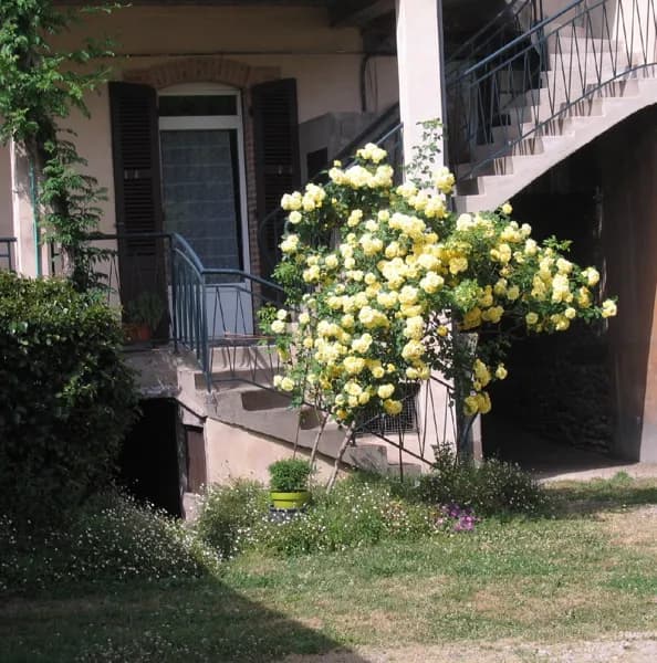 Gîte Les Rosiers