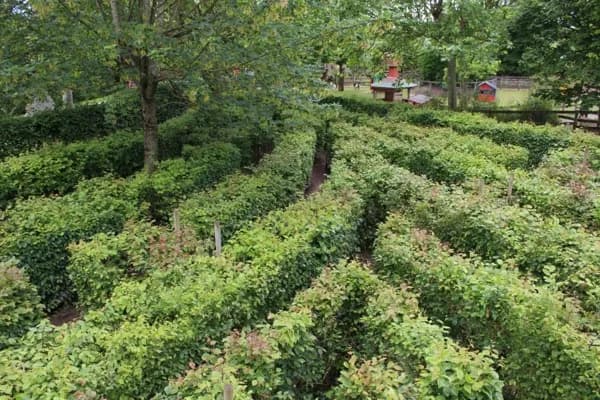Le Labyrinthe Végétal