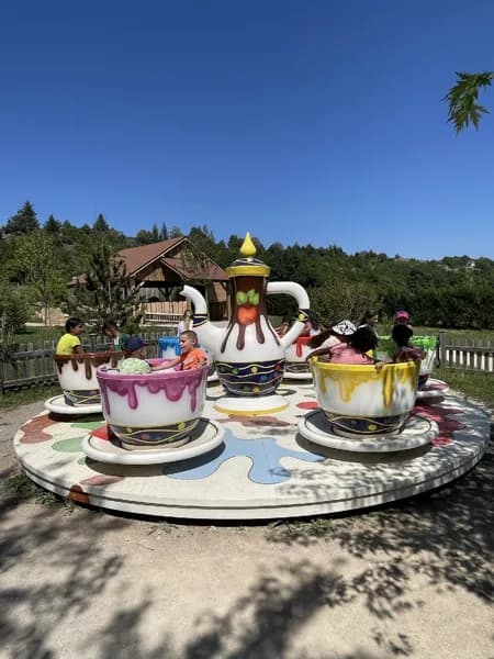 Les Tasses en Folie