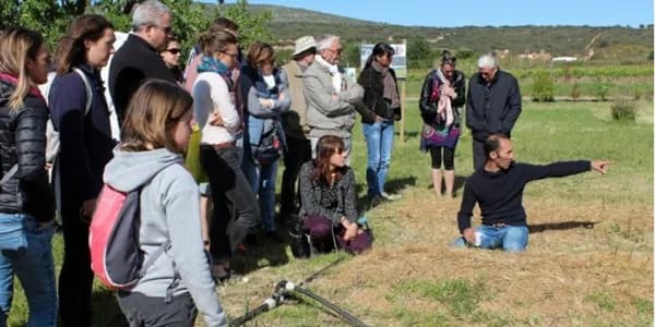 My Home Farmer, la maison du safran et des aromatiques