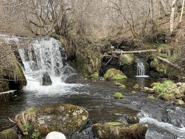 Rivière le long du lépadou bas possibilité baignade