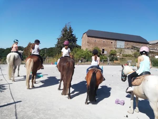 Ferme équestre "Les 2 chouettes"