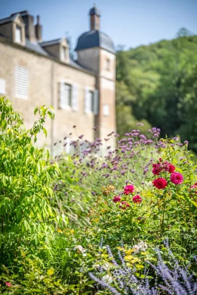 Abbaye de Beaulieu-en-Rouergue - jardin de roses