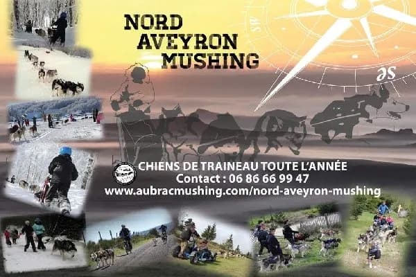 Nord Aveyron Mushing
