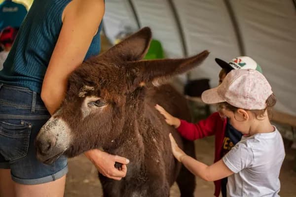 Les ânesses du Carladès - Visite de ferme