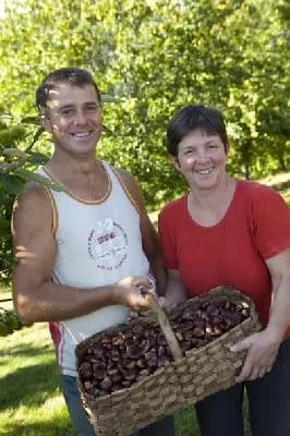 Goûtez La Châtaigne - Marrons de l'Aveyron