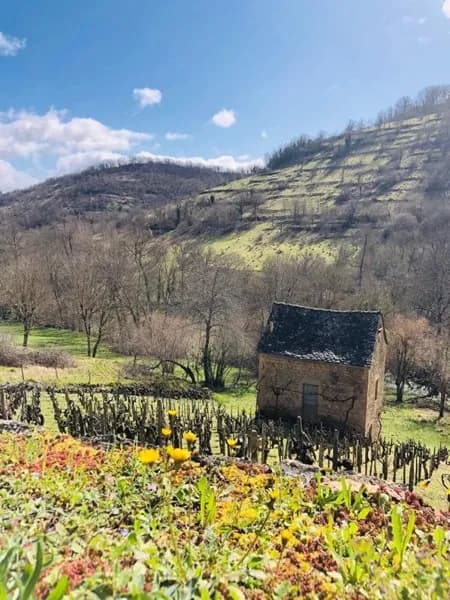 Promenade à la découverte des vignes - Gîte La Fontanelle