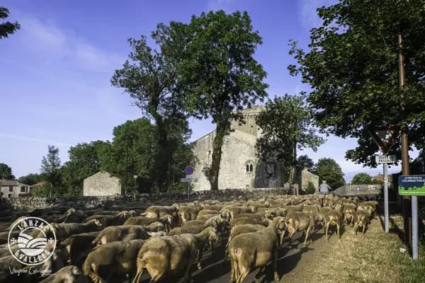 La Tour du Viala du Pas de Jaux