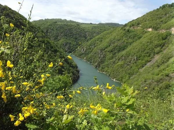 Services d'itinérance Vallée du Tarn
