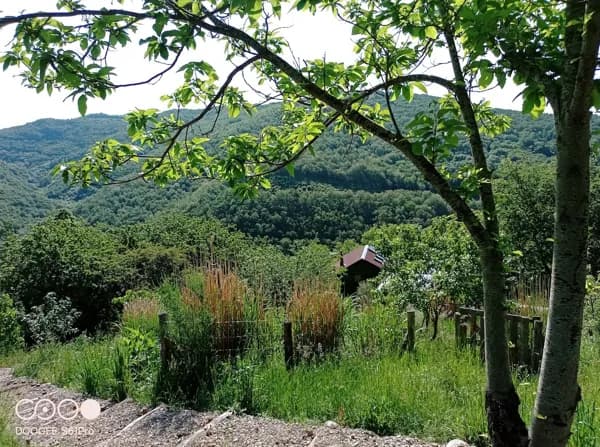 Ferme du Bosc - Pierrick MICHEL