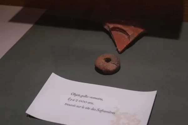 Musée de la Dragonnière