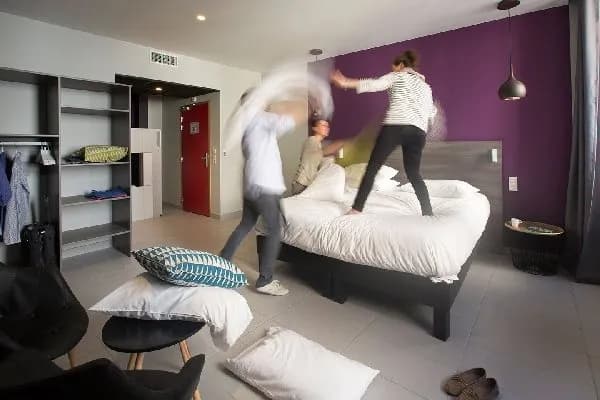 HOTEL LES FLEURINES