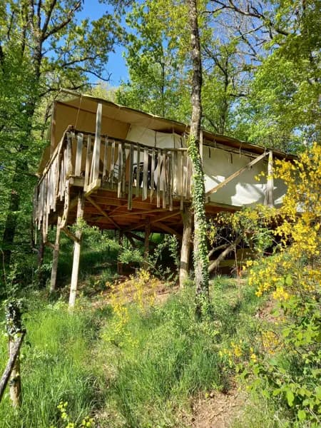 Tente forestière sur pilotis