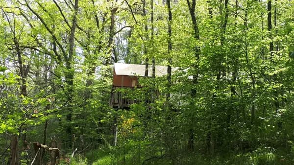 Tente forestière sur pilotis