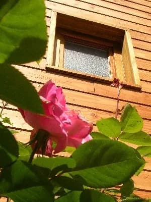 La Maisonnette en Bois
