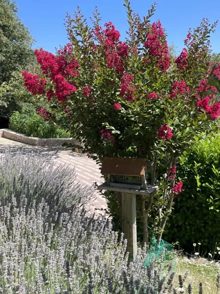 Chambre d'hôtes : le Logis d'Eve