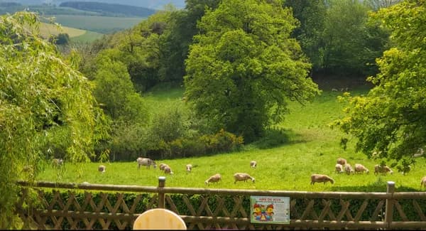 VISITES à la ferme le Puech Février