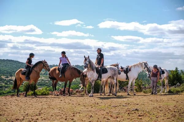 Domaine de Gaillac - balades à cheval