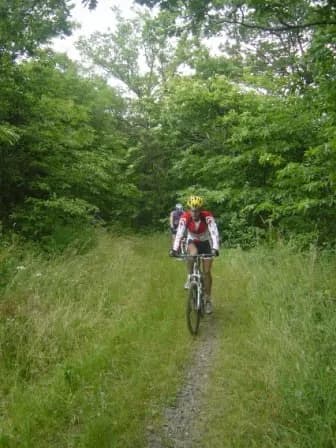 VTT