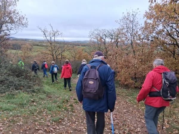 En marche vers le Vert Lavande !