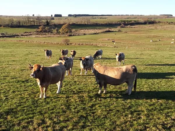 L'Oustal d'Aubrac