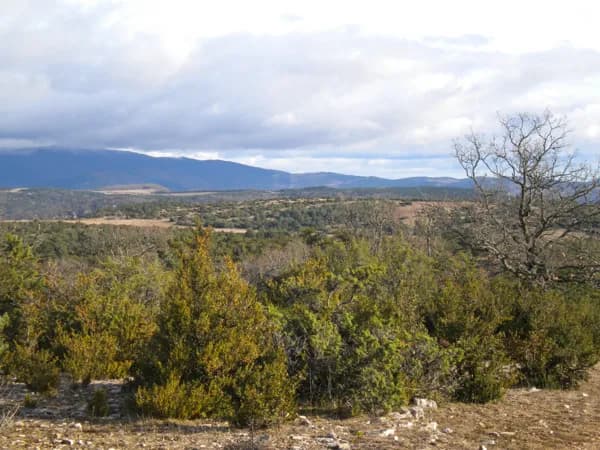 Grands espaces