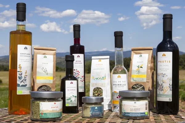 Visite-dégustation Aromatiques du Larzac