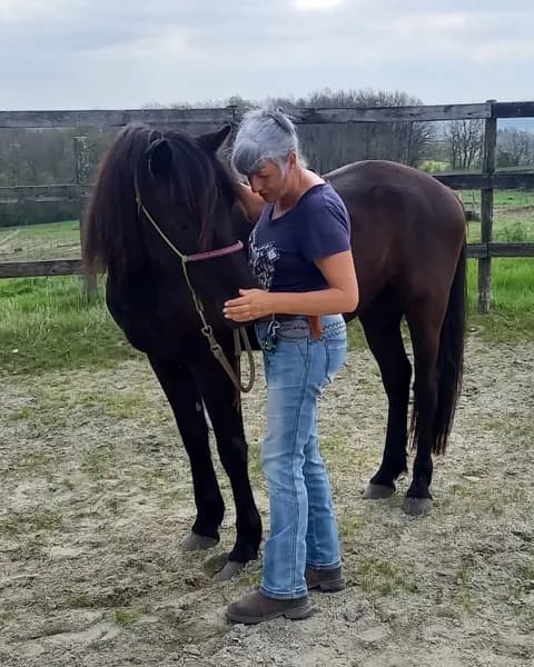 Le Ranch des Centaurées