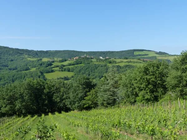 Domaine de Belert