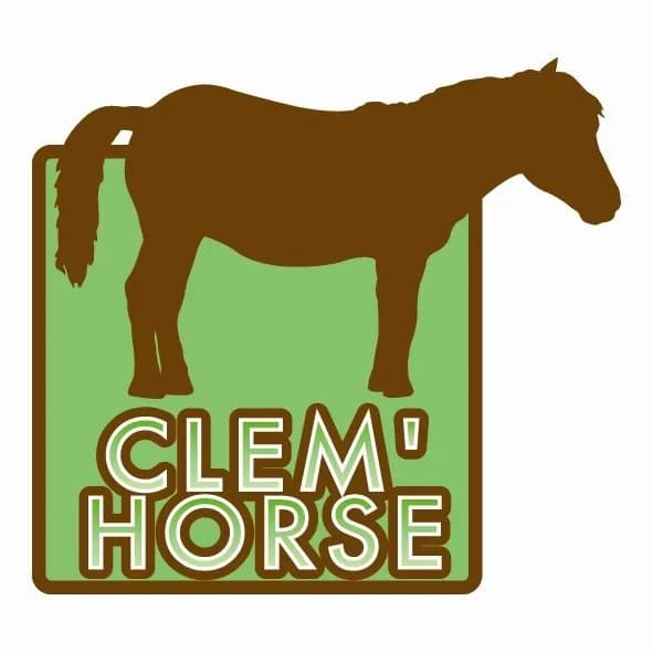 Activités équestres avec Clem'Horse