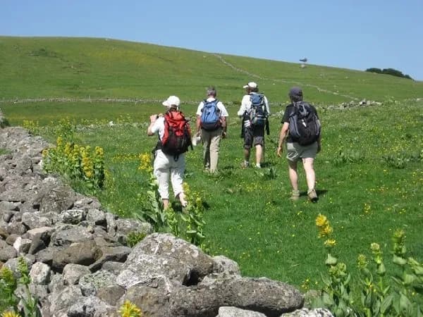 Randonnées été/hiver avec les accompagnateurs des Monts d'Aubrac