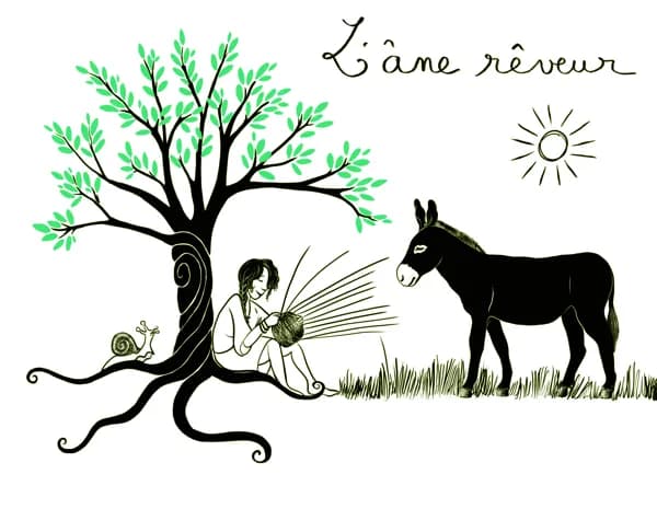 L'Âne Rêveur Vannerie