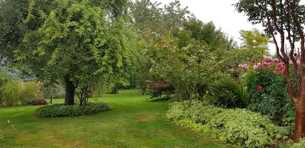 Le Jardin des plantes