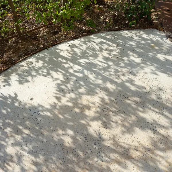 Ombres du jardin