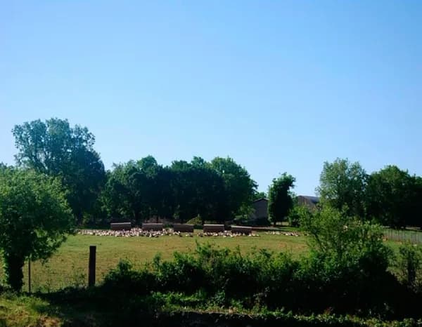Visite Ferme des Cazalous