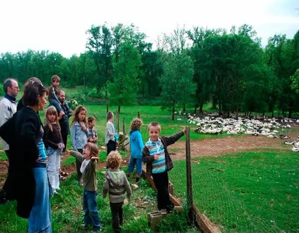 Visite Ferme des Cazalous