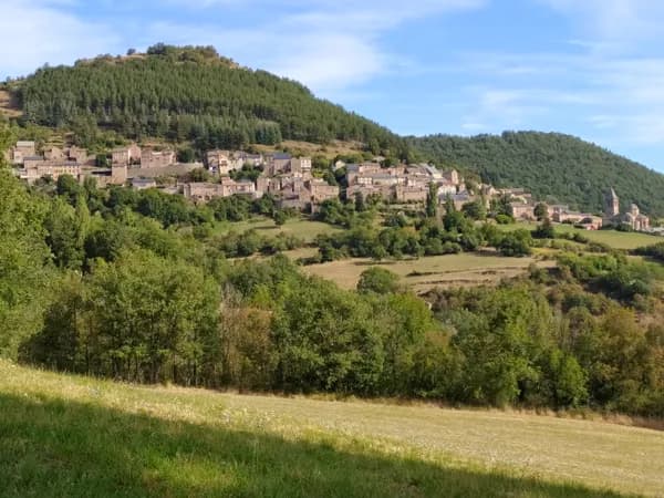 Monjolicoin Délicieux
