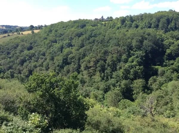 Vue sur le paysage