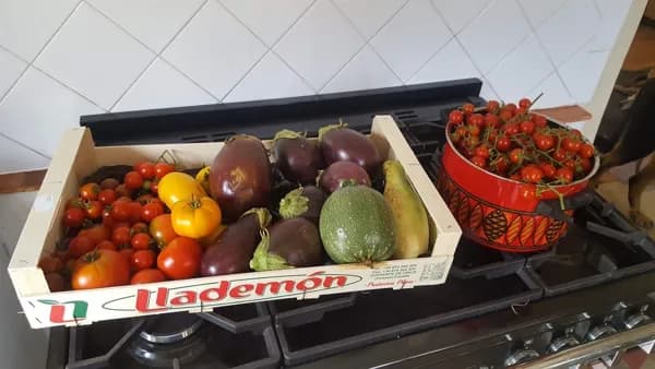La Ferme des Andes - les légumes du potager.