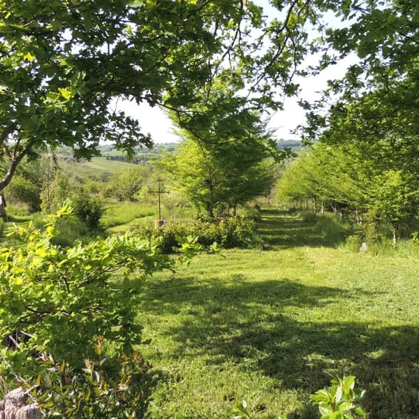 Forêt jardin du Landassou